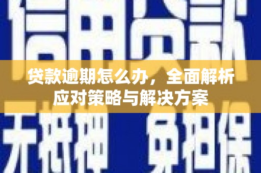 电白贷款逾期怎么办，全面解析应对策略与解决方案