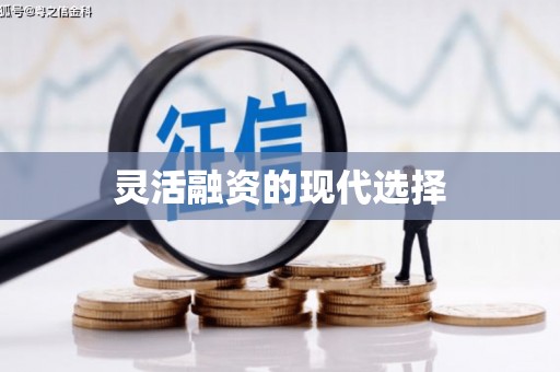 定陶灵活融资的现代选择