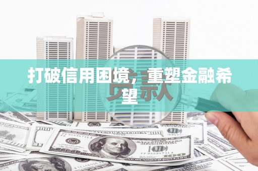 口湖打破信用困境，重塑金融希望
