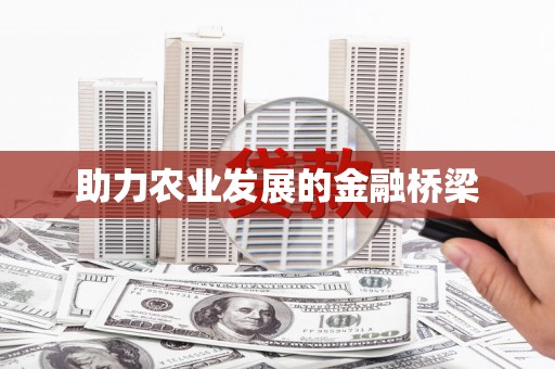 曲麻莱助力农业发展的金融桥梁