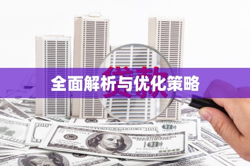 文登全面解析与优化策略