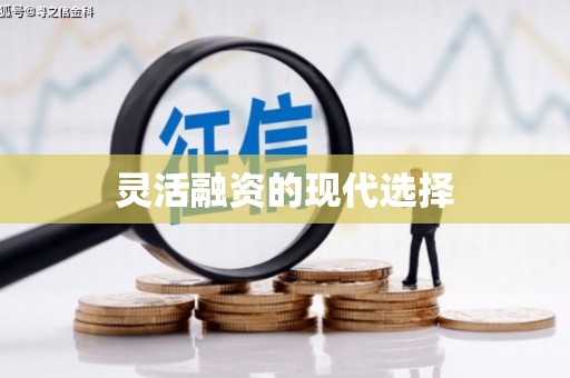 星子灵活融资的现代选择
