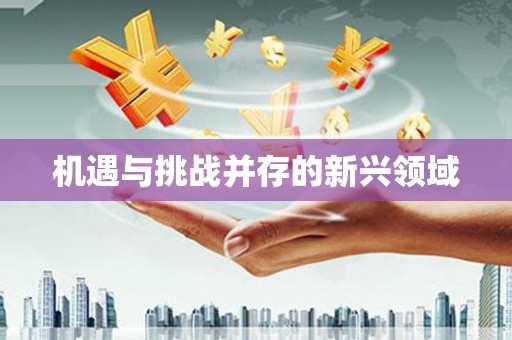舟山新区机遇与挑战并存的新兴领域