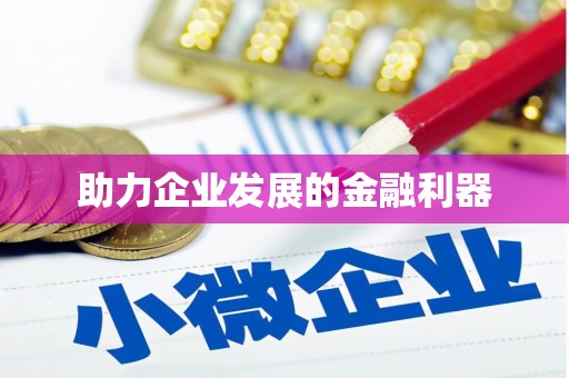 武侯助力企业发展的金融利器