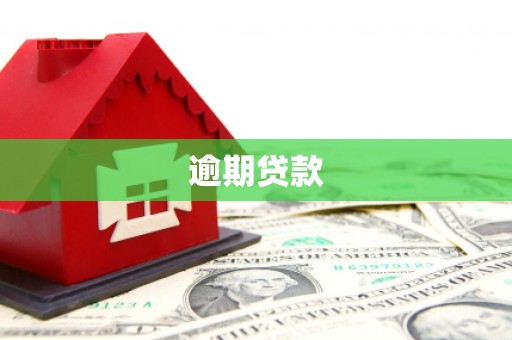 新抚逾期贷款