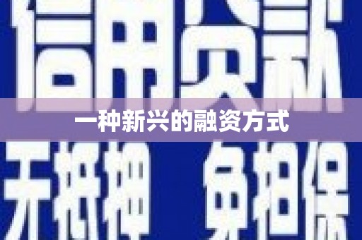 海盐一种新兴的融资方式
