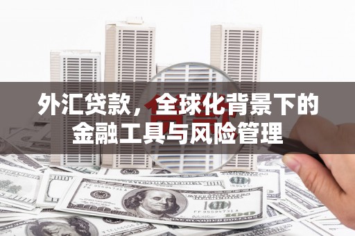 安仁外汇贷款，全球化背景下的金融工具与风险管理