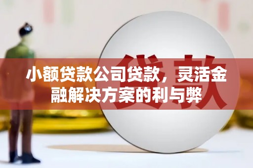 文昌小额贷款公司贷款，灵活金融解决方案的利与弊