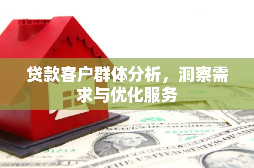 山阳贷款客户群体分析，洞察需求与优化服务